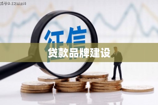 丰顺贷款品牌建设