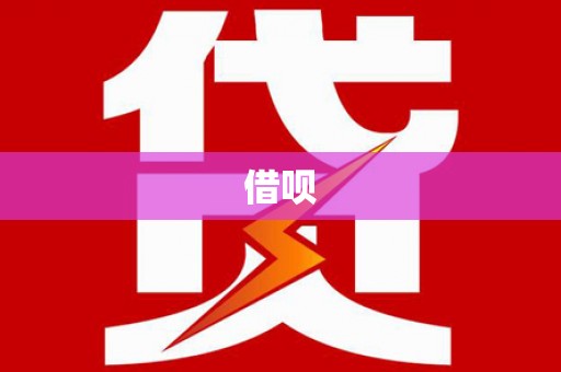 沙洋借呗