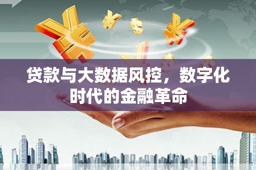 镇安贷款与大数据风控，数字化时代的金融革命