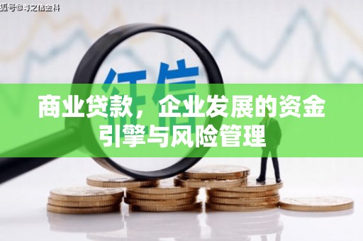九原商业贷款，企业发展的资金引擎与风险管理