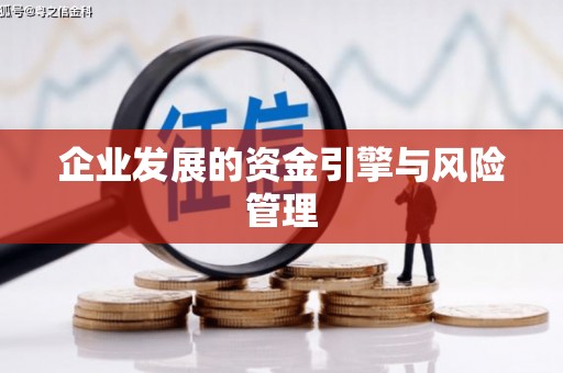 新营企业发展的资金引擎与风险管理