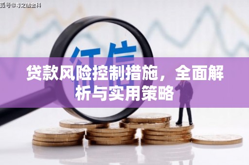 乐清贷款风险控制措施，全面解析与实用策略