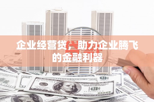 阆中企业经营贷，助力企业腾飞的金融利器
