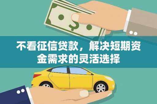 新店不看征信贷款，解决短期资金需求的灵活选择