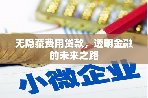 天宁无隐藏费用贷款，透明金融的未来之路