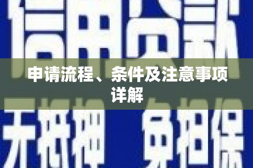 新县申请流程、条件及注意事项详解