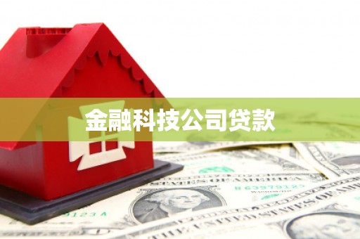 天宁金融科技公司贷款