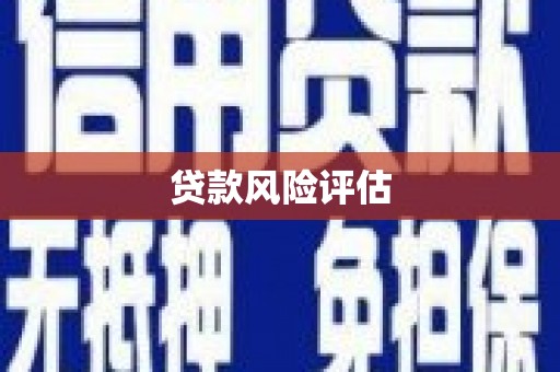 浦江贷款风险评估