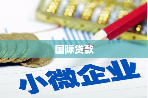 汪清国际贷款