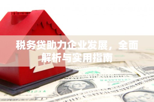 民和税务贷助力企业发展，全面解析与实用指南