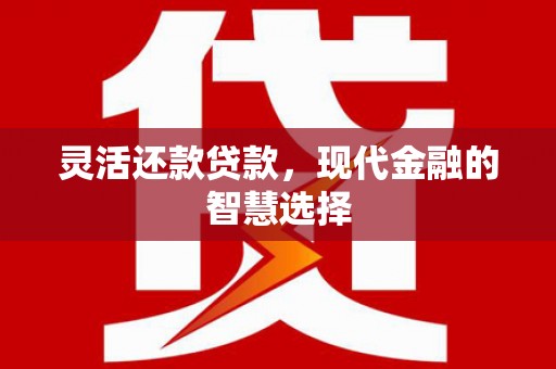 新河灵活还款贷款，现代金融的智慧选择