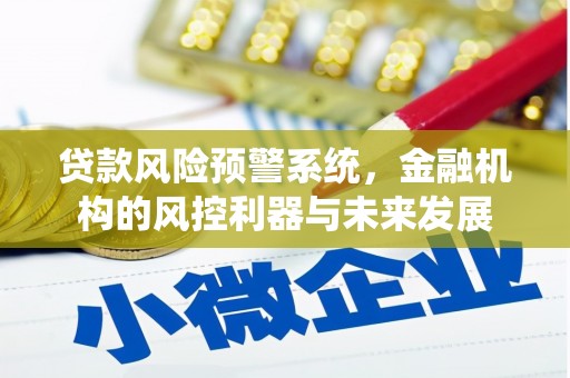 金溪贷款风险预警系统，金融机构的风控利器与未来发展