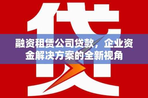 武川融资租赁公司贷款，企业资金解决方案的全新视角