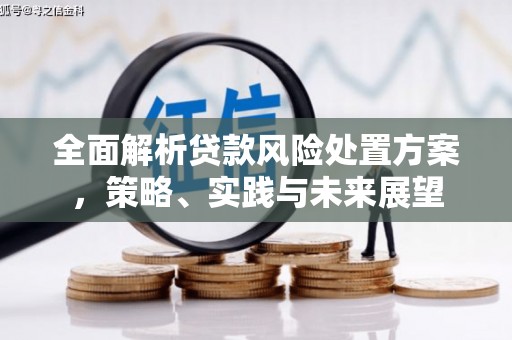 沙依巴克全面解析贷款风险处置方案，策略、实践与未来展望