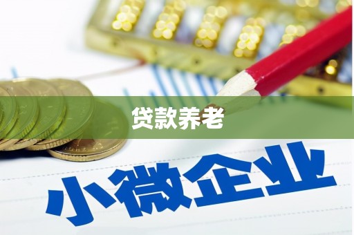 晋州贷款养老