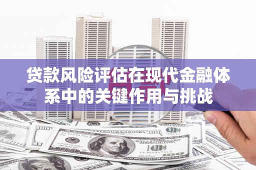 昭平贷款风险评估在现代金融体系中的关键作用与挑战