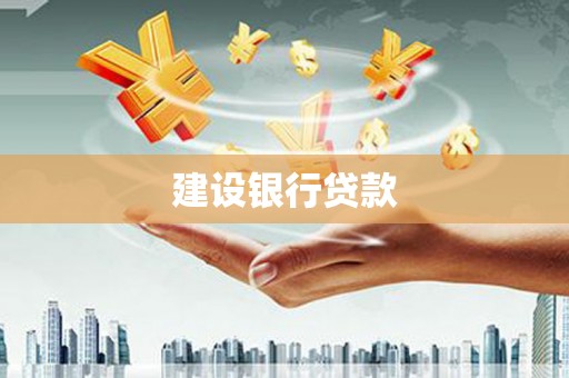 双柏建设银行贷款