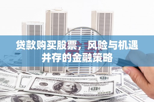 新蔡贷款购买股票，风险与机遇并存的金融策略