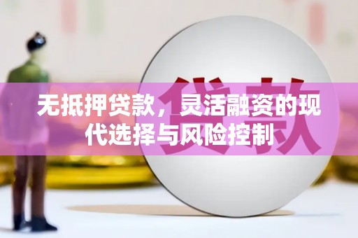 北海新区无抵押贷款，灵活融资的现代选择与风险控制