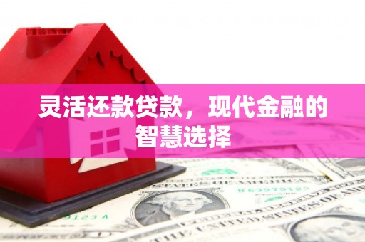 茂林灵活还款贷款，现代金融的智慧选择