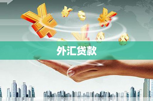 安乡外汇贷款