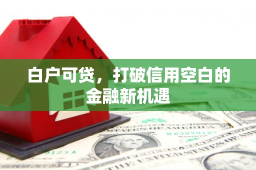 八宿白户可贷，打破信用空白的金融新机遇