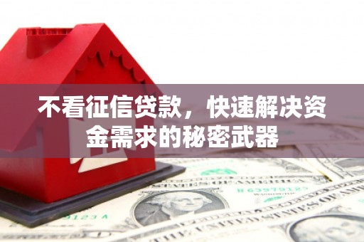 雅安不看征信贷款，快速解决资金需求的秘密武器