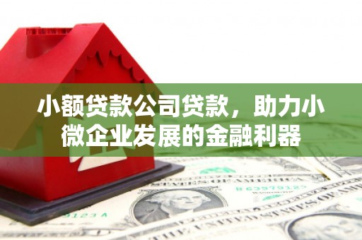 平舆小额贷款公司贷款，助力小微企业发展的金融利器