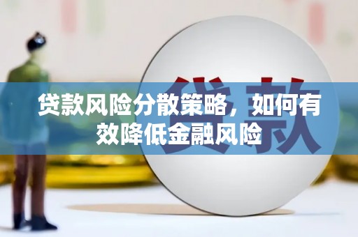 云龙贷款风险分散策略，如何有效降低金融风险