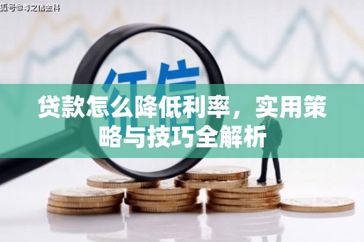 淡水贷款怎么降低利率，实用策略与技巧全解析