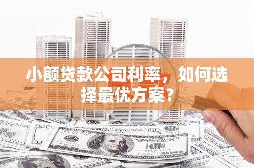 丽水小额贷款公司利率，如何选择最优方案？