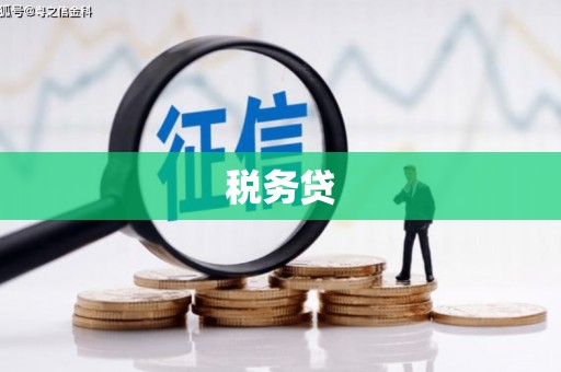 富民税务贷