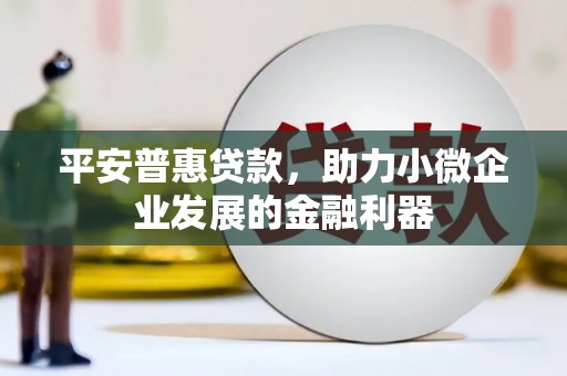 纳雍平安普惠贷款，助力小微企业发展的金融利器