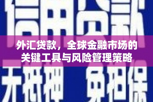 安康外汇贷款，全球金融市场的关键工具与风险管理策略