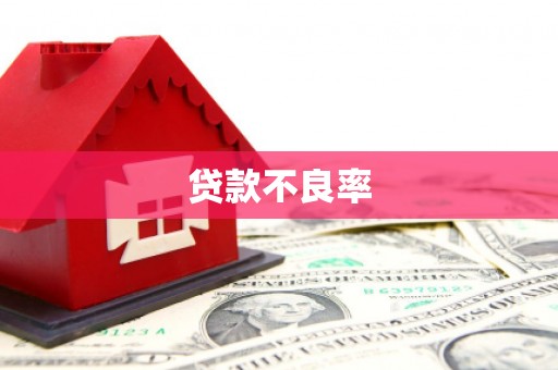 邵阳县贷款不良率