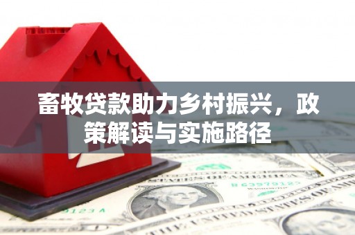 濠江畜牧贷款助力乡村振兴，政策解读与实施路径