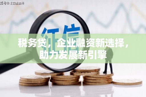 乐昌税务贷，企业融资新选择，助力发展新引擎