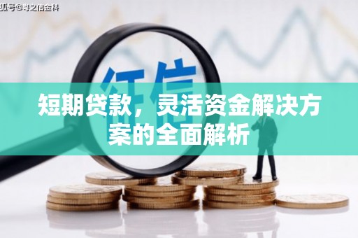 保定短期贷款，灵活资金解决方案的全面解析