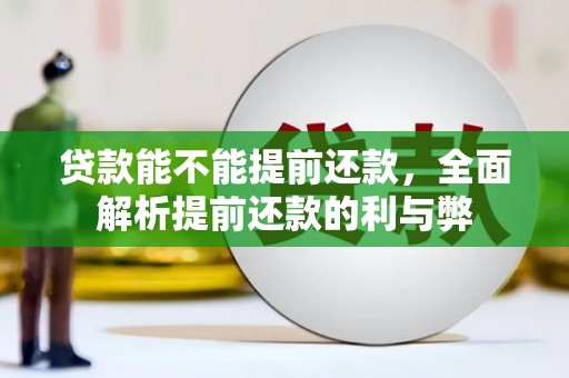 乐陵贷款能不能提前还款，全面解析提前还款的利与弊