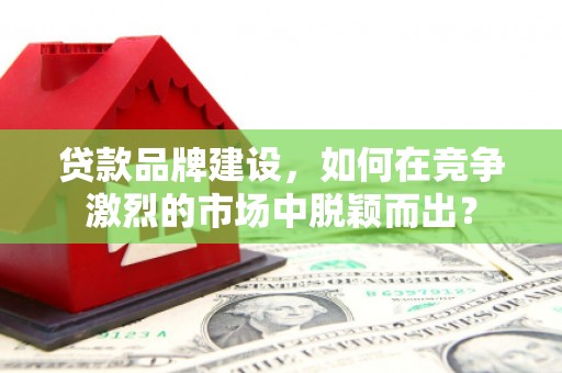 武山贷款品牌建设，如何在竞争激烈的市场中脱颖而出？