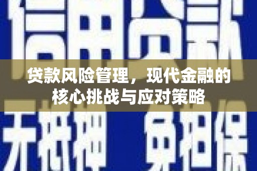 罗东贷款风险管理，现代金融的核心挑战与应对策略