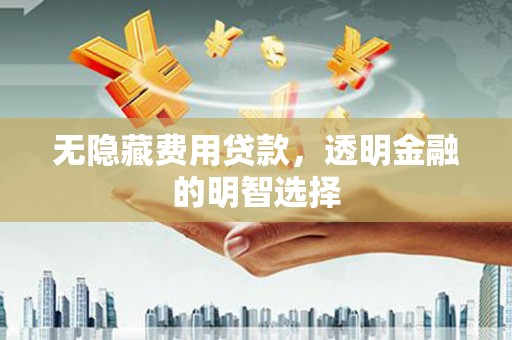 岭东无隐藏费用贷款，透明金融的明智选择