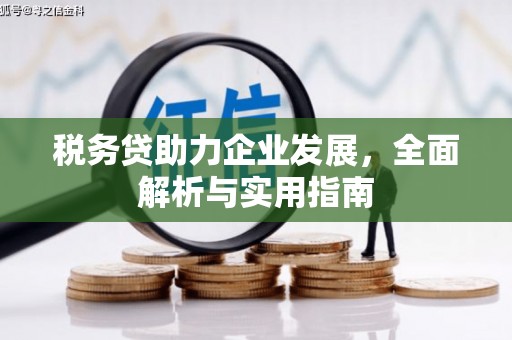 泾河税务贷助力企业发展，全面解析与实用指南