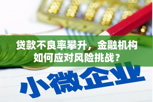 北投贷款不良率攀升，金融机构如何应对风险挑战？
