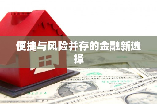 金寨便捷与风险并存的金融新选择