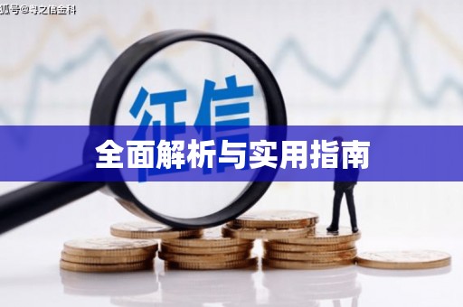 新县全面解析与实用指南