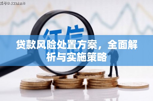 缙云贷款风险处置方案，全面解析与实施策略