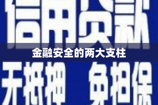 邵阳金融安全的两大支柱