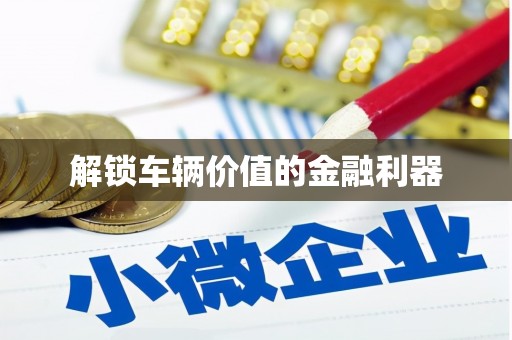 海州解锁车辆价值的金融利器