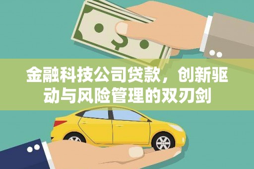 勐海金融科技公司贷款，创新驱动与风险管理的双刃剑